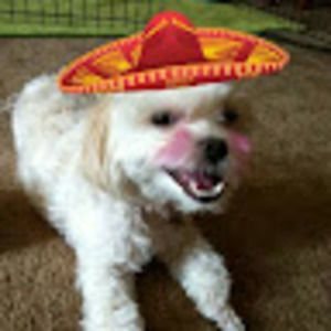 Meet your Posher, Mina